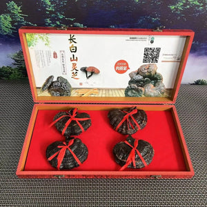 Northeast specialty red Ganoderma lucidum gift box wild Ganoderma lucidum purple Ganoderma lucidum