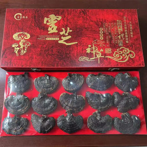 Northeast specialty red Ganoderma lucidum gift box wild Ganoderma lucidum purple Ganoderma lucidum